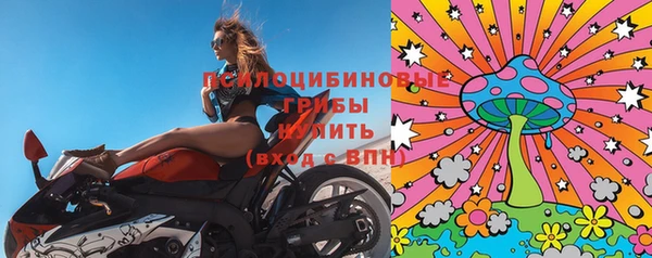 дживик Балахна