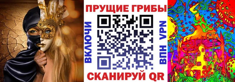 купить наркотик  Бологое  Псилоцибиновые грибы мухоморы 